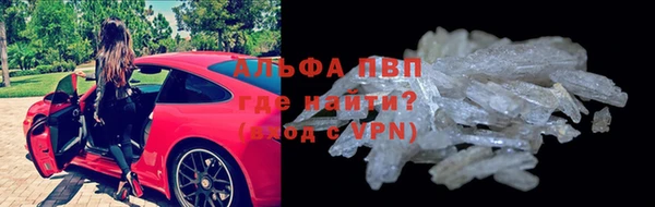 a pvp Аркадак