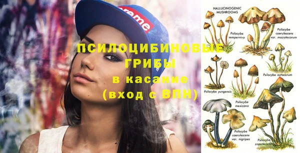 прущая мука Армянск