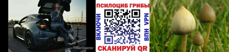 хочу наркоту  Уяр  blacksprut tor  Псилоцибиновые грибы мухоморы 
